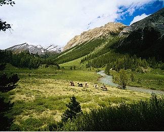 Take Two：AI可以让NPC变得非常有意思和有趣