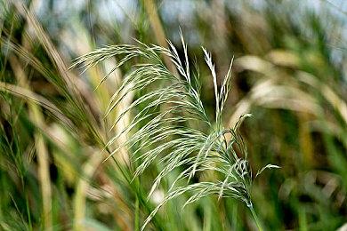 TGA 2023：《Apex 英雄》宣布联动《最终幻想7》